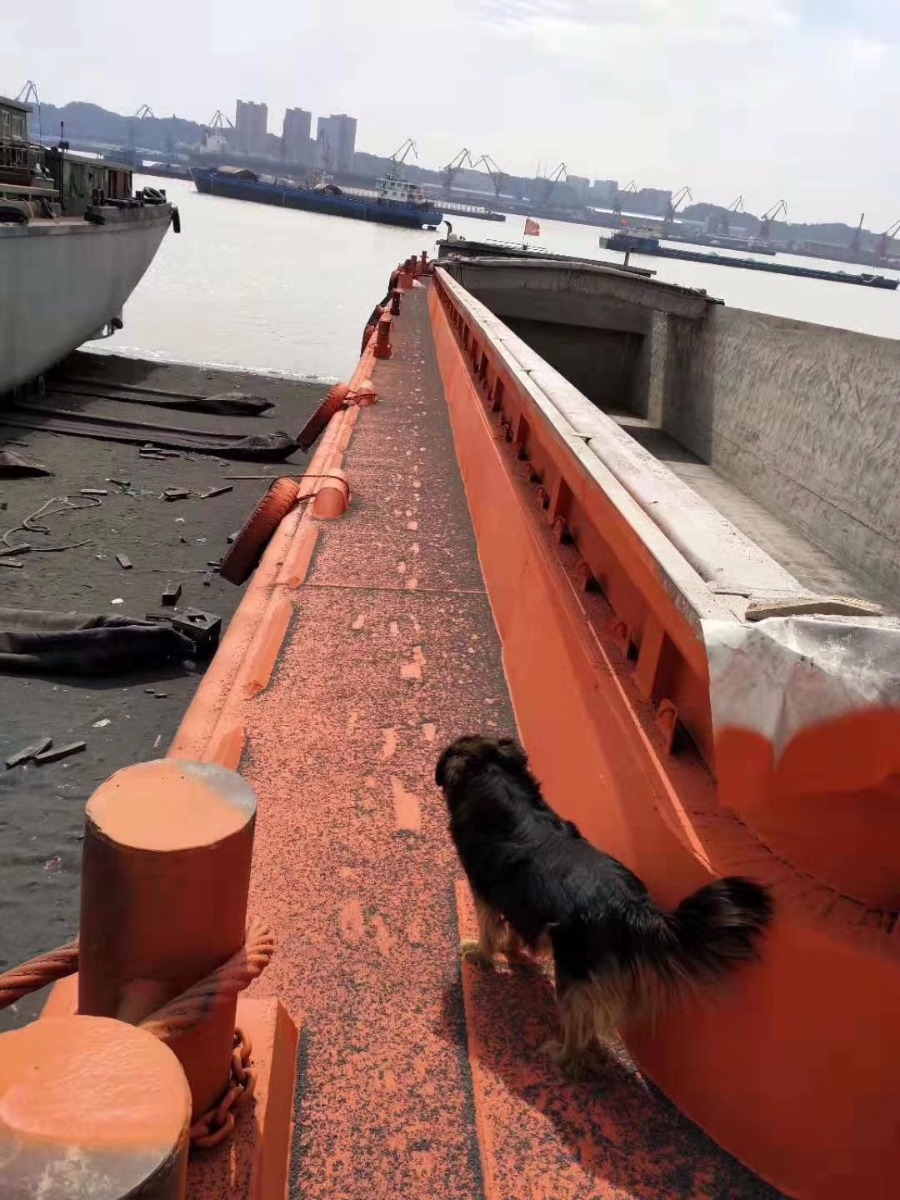  船舶交易网·www.86agency.com 南通运维处货船·散货船船舶交易网 找船,找货网,船舶寄售,船舶求购发布,开具船舶交易发票二手船舶信息2010年56米1400吨货船货船·散货船船舶交易网 找船,找货网,船舶寄售,船舶求购发布,开具船舶交易发票 