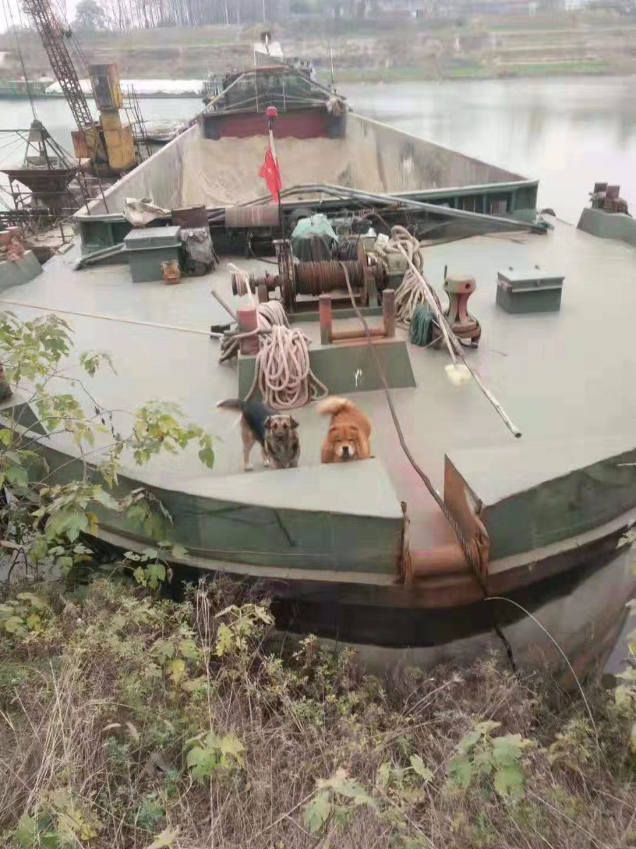  船舶交易网·www.86agency.com 南通运维处货船·散货船船舶交易网 找船,找货网,船舶寄售,船舶求购发布,开具船舶交易发票二手船舶信息2004年56米1495吨货船货船·散货船船舶交易网 找船,找货网,船舶寄售,船舶求购发布,开具船舶交易发票 