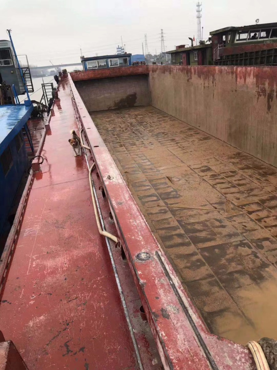  船舶交易网·www.86agency.com 南通运维处货船·散货船船舶交易网 找船,找货网,船舶寄售,船舶求购发布,开具船舶交易发票二手船舶信息2010年49.9米1272吨货船货船·散货船船舶交易网 找船,找货网,船舶寄售,船舶求购发布,开具船舶交易发票 