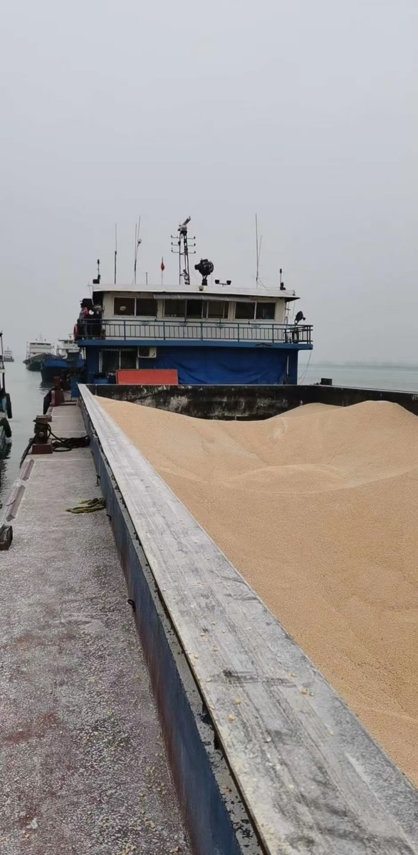  船舶交易网·www.86agency.com 南通运维处货船·散货船船舶交易网 找船,找货网,船舶寄售,船舶求购发布,开具船舶交易发票二手船舶信息2009年78米3183吨货船货船·散货船船舶交易网 找船,找货网,船舶寄售,船舶求购发布,开具船舶交易发票 